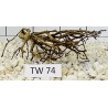 Talawawood 74