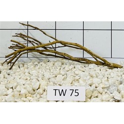 Talawawood 75