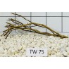 Talawawood 75