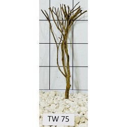 Talawawood 75