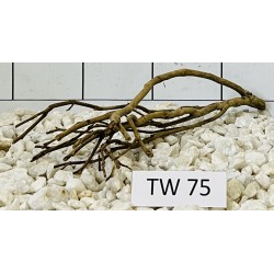 Talawawood 75
