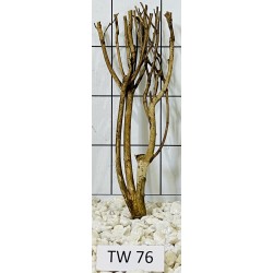 Talawawood 76