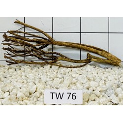 Talawawood 76