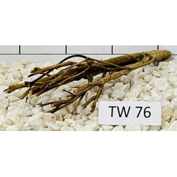 Talawawood 76