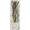 Talawawood 77