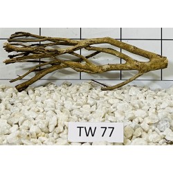 Talawawood 77