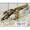 Talawawood 77