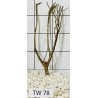 Talawawood 78