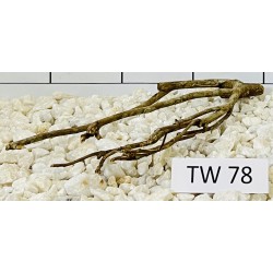 Talawawood 78