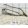 Talawawood 78