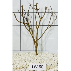 Talawawood 80
