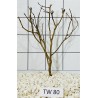 Talawawood 80