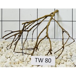 Talawawood 80