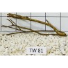 Talawawood 81
