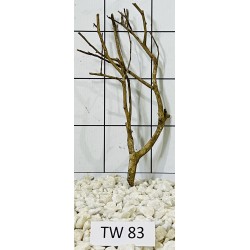 Talawawood 83