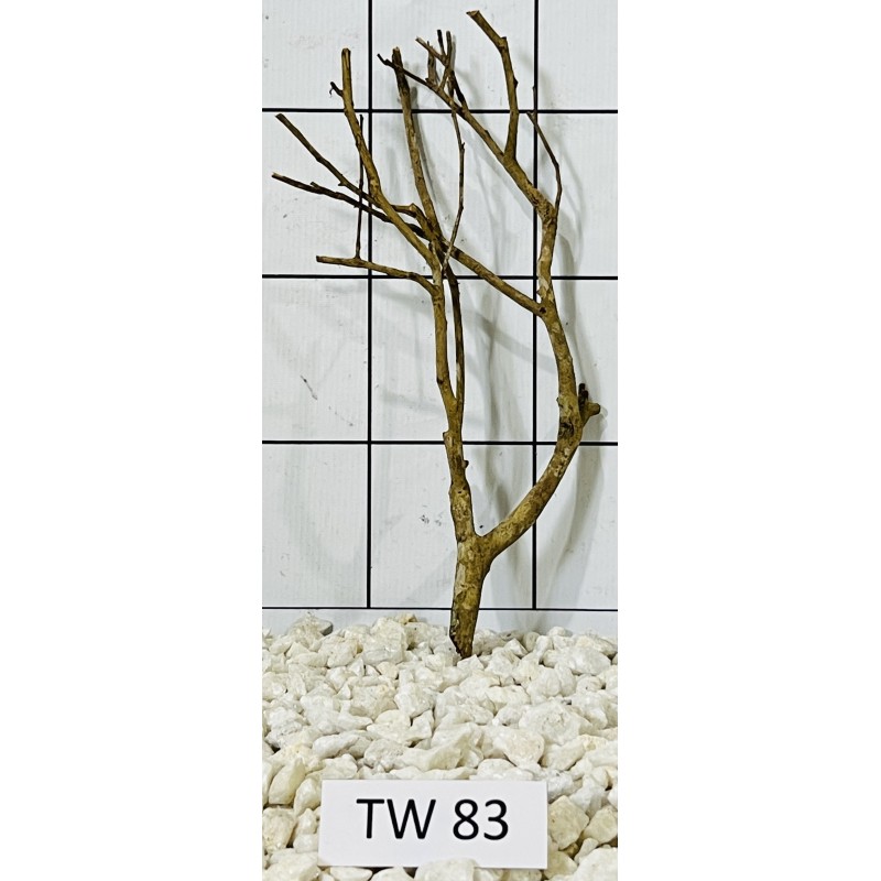 Talawawood 83