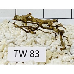 Talawawood 83