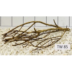 Talawawood 85