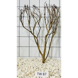 Talawawood 87