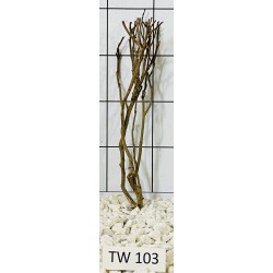 Talawawood 103
