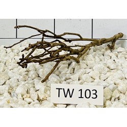Talawawood 103