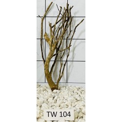 Talawawood 104