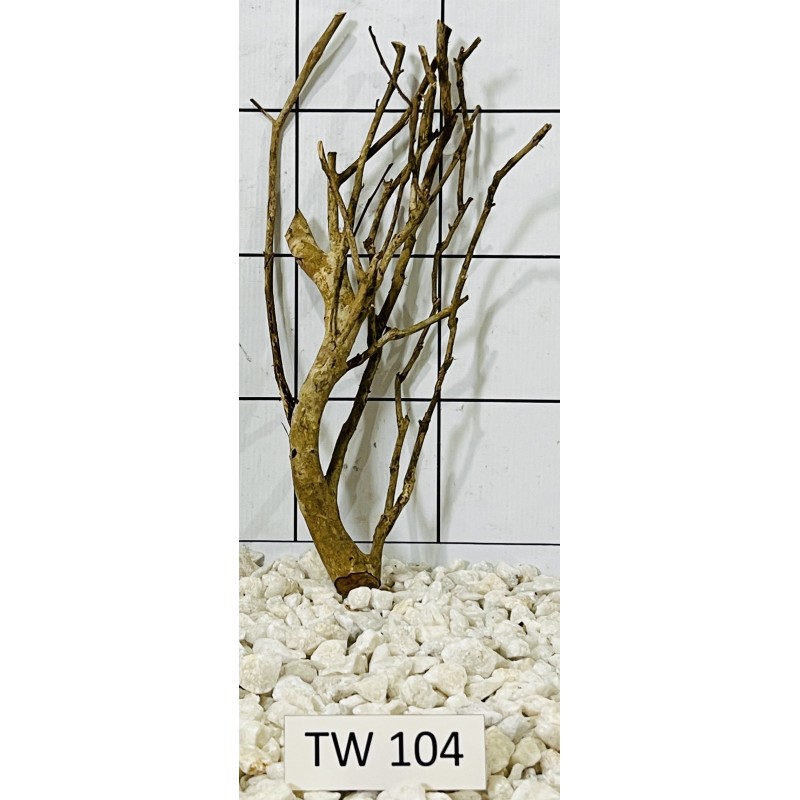 Talawawood 104