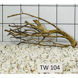 Talawawood 104