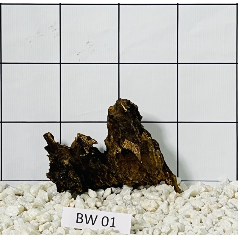 Bogwood 01