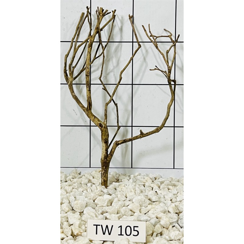 Talawawood 105
