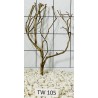 Talawawood 105