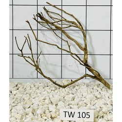 Talawawood 105