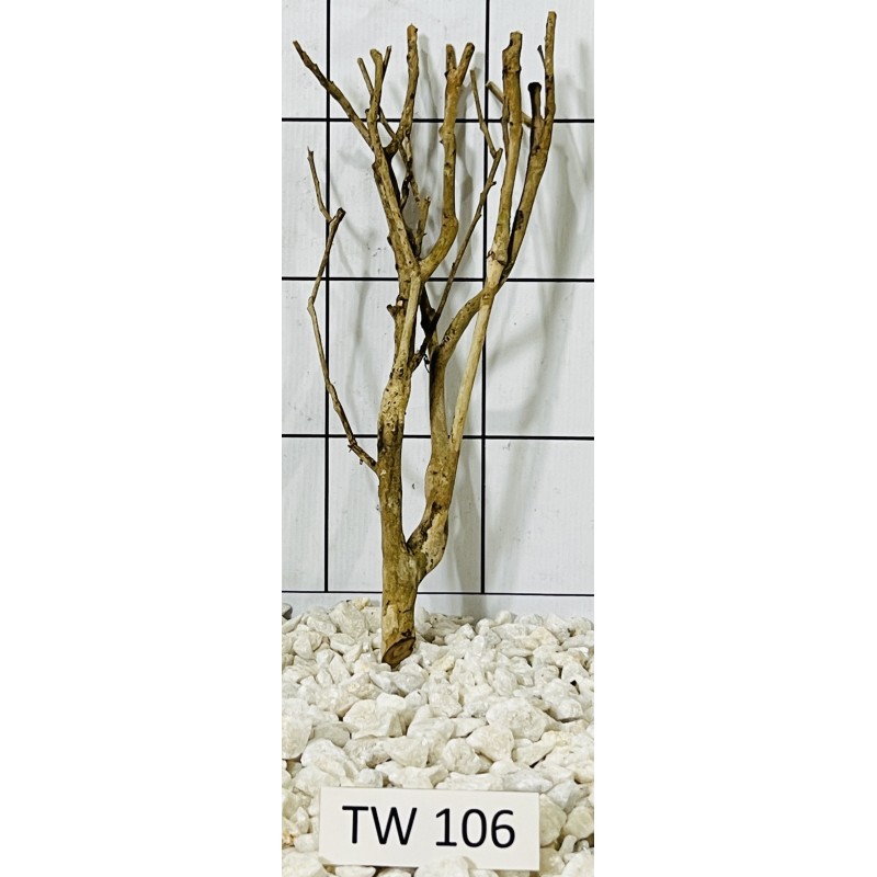 Talawawood 106