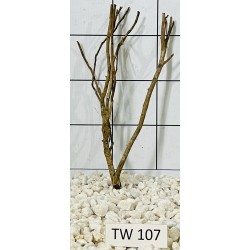Talawawood 107