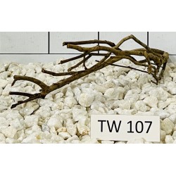Talawawood 107