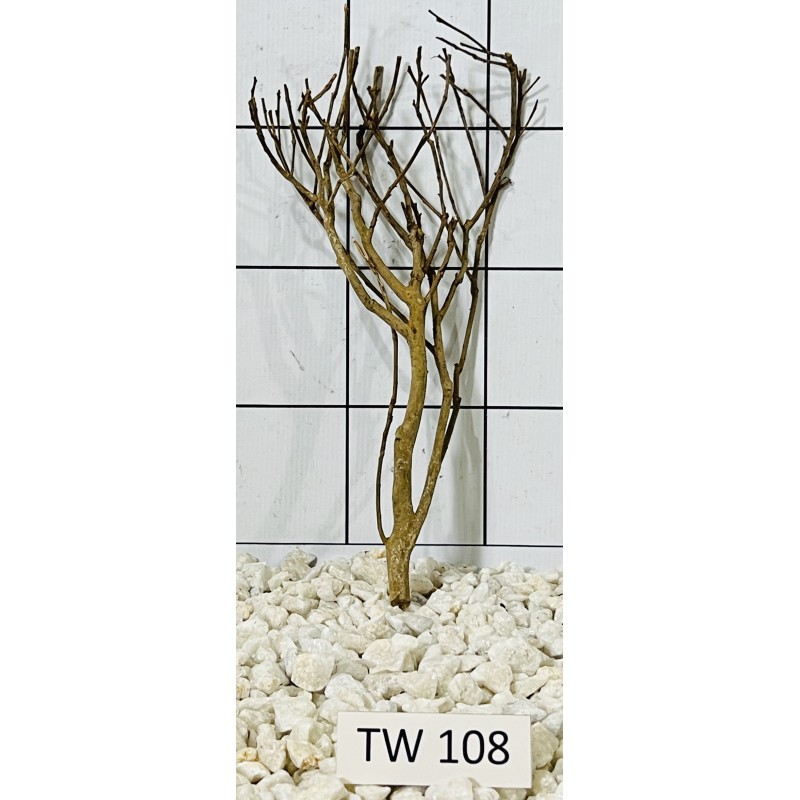Talawawood 108