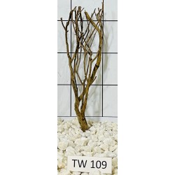 Talawawood 109