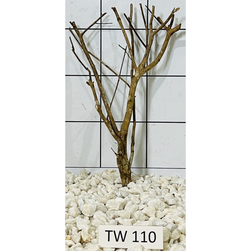 Talawawood 110