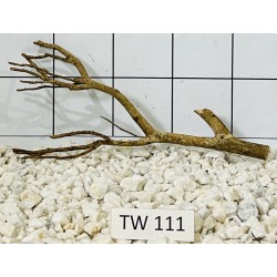 Talawawood 111