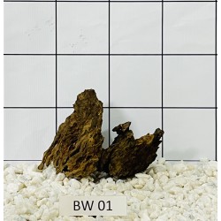 Bogwood 01