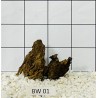 Bogwood 01