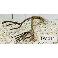 Talawawood 111