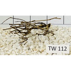 Talawawood 112