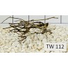 Talawawood 112