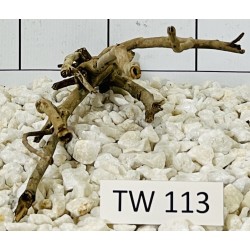 Talawawood 113