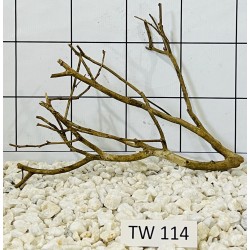 Talawawood 114