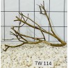 Talawawood 114
