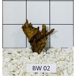 Bogwood 02