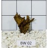 Bogwood 02