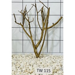Talawawood 115